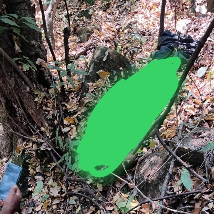 जंगल में मिला सर कटा शव लोग मांग रहे वन विभाग से मुआवजा