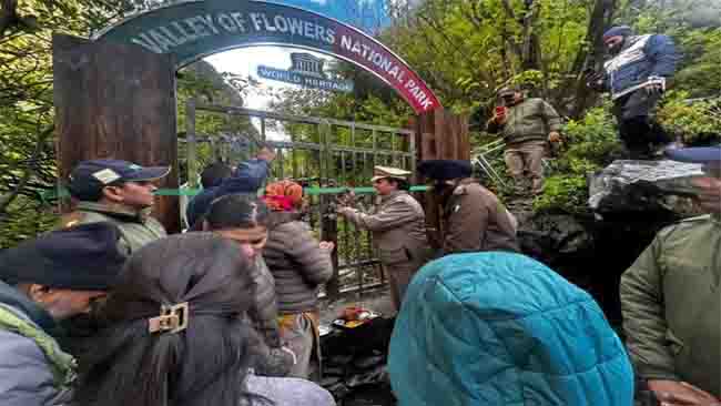 यूनेस्को धरोहर फूलों की घाटी फिर खुली, हर कदम पर बस खूबसूरती ही खूबसूरती